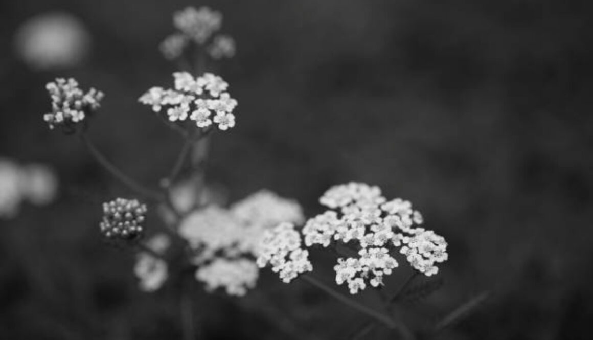 Jak uzyskać zasiłek pogrzebowy z ZUS – poradnik Zakładu Pogrzebowego Calvaria Wejherowo