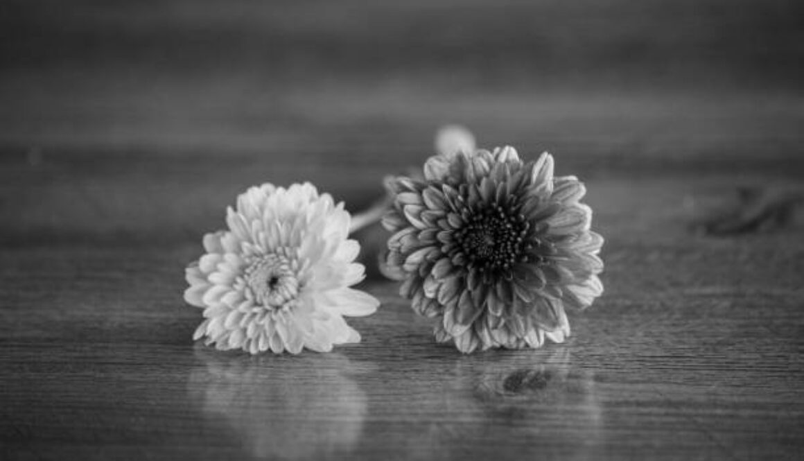 różnice między pogrzebem świeckim a wyznaniowym