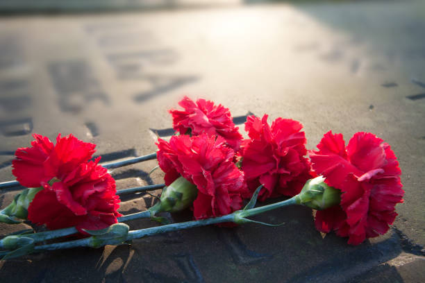 red carnations lying on granite slab