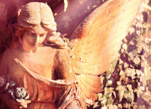 angel in the sunlight (antique statue)