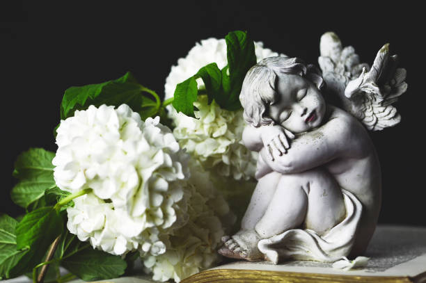 Angel and white flowers on dark background