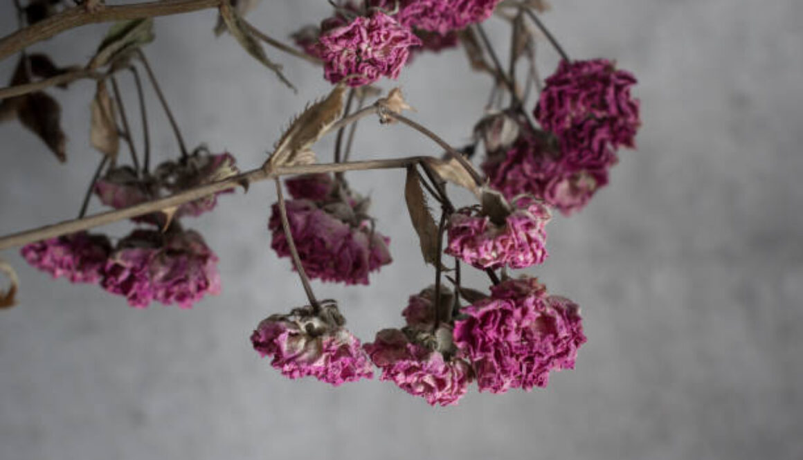 Sprzątanie po zgonie i dezynfekcja mieszkania – profesjonalna usługa Calvaria Wejherowo